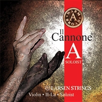 IL CANNONE WARM & BROAD A SOLOIST