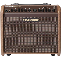 FISHMAN LOUDBOX MINI CHARGE