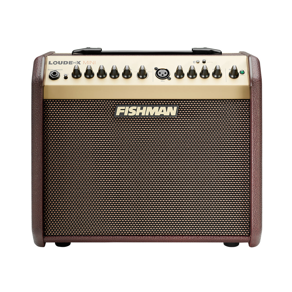 Fishman Loudbox Mini Amp