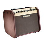 Fishman Loudbox Mini Amp