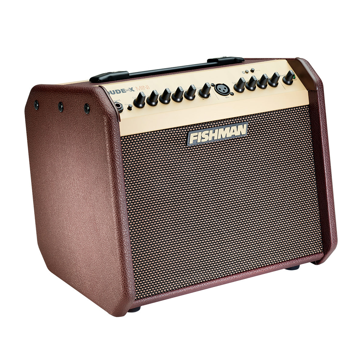 Fishman Loudbox Mini Amp