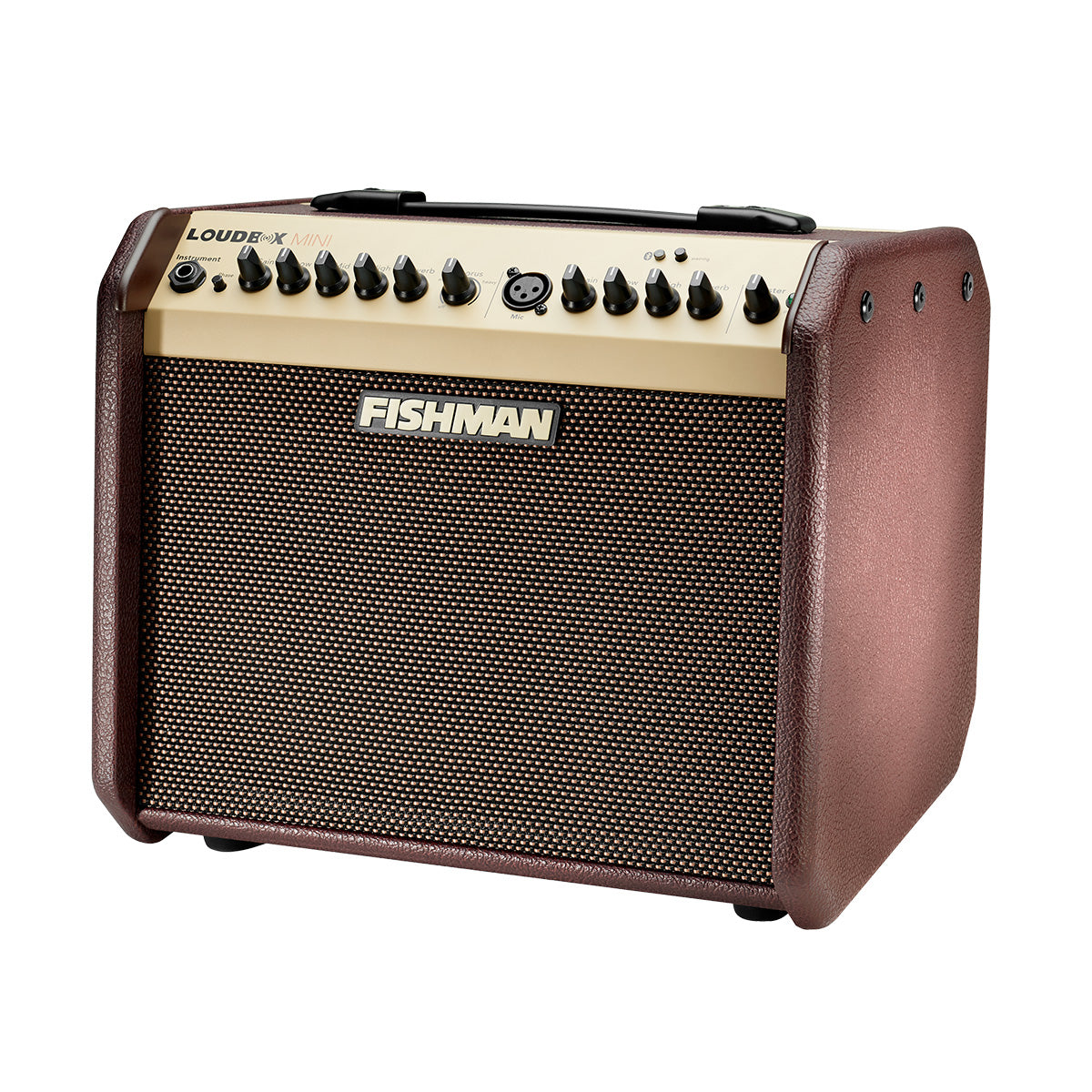 Fishman Loudbox Mini Amp
